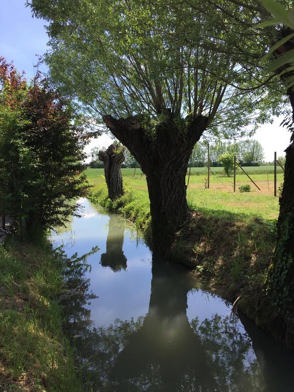 Corte Mondina Gazoldo degli Ippoliti Esterno foto